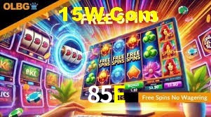 Flash Promotion 85E